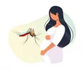 عوارض ابتلا به تب دنگی در بارداری برای مادر و جنین